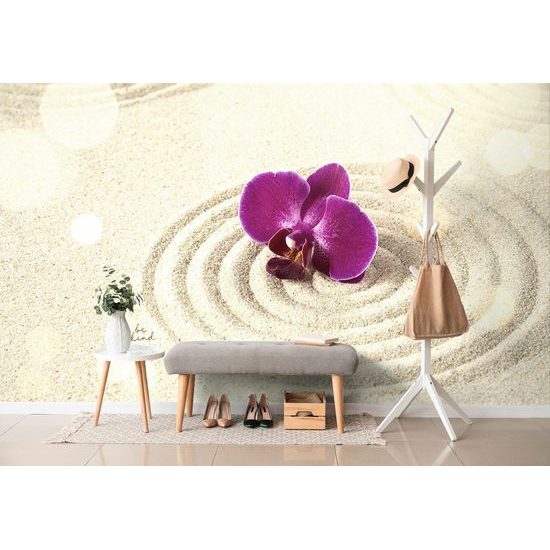 Samolepící fototapeta zen zahrada z písku