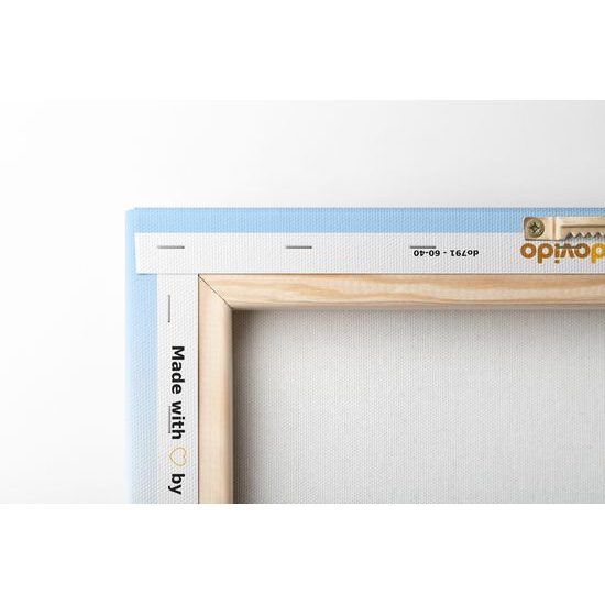 Obraz šťastná zvířátka