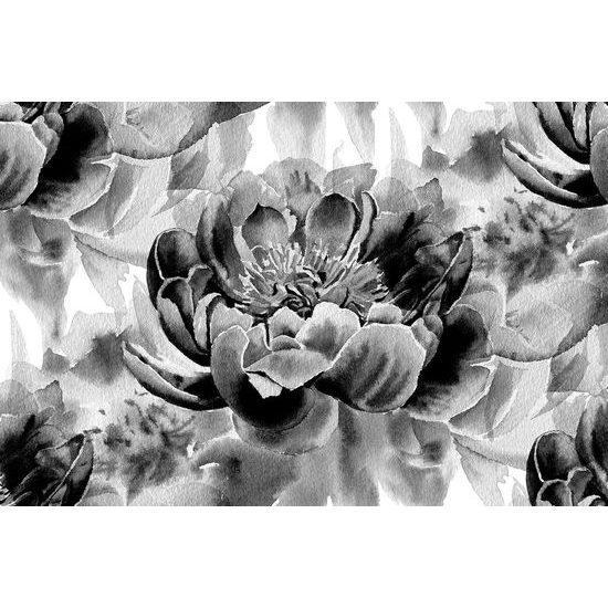 Okouzlující černobílá samolepící tapeta rozkvetlé pivoňky