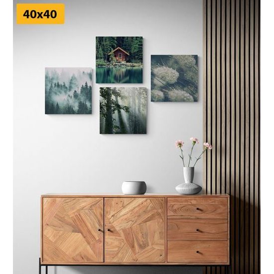 Set obrazů les ponořený do mlhy