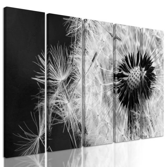5-dílný obraz černobílá pampeliška ve větru