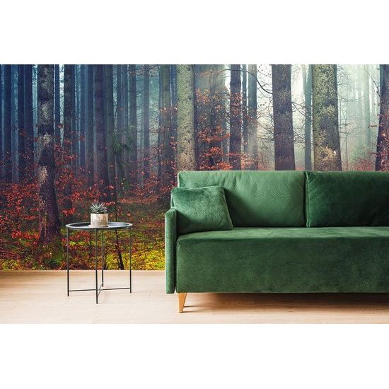 Originální samolepící fototapeta zákoutí lesa
