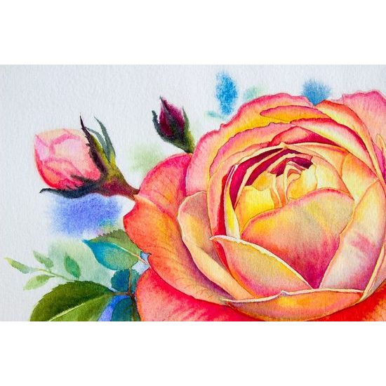 Tapeta krásná malba růže