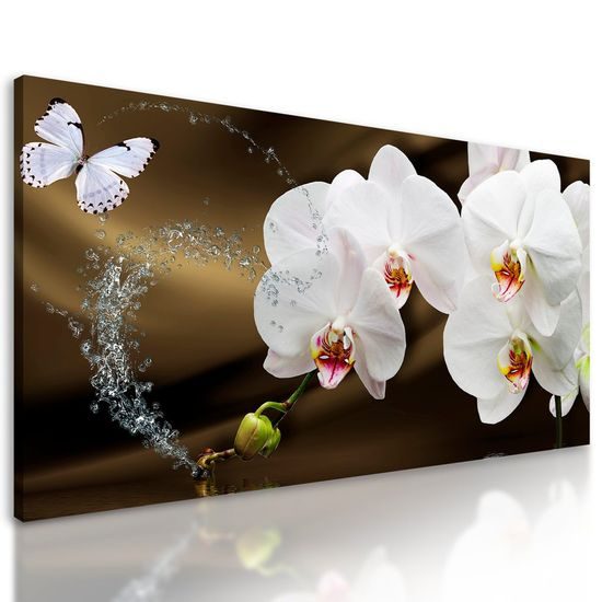 Obraz harmonie motýla s orchidejí