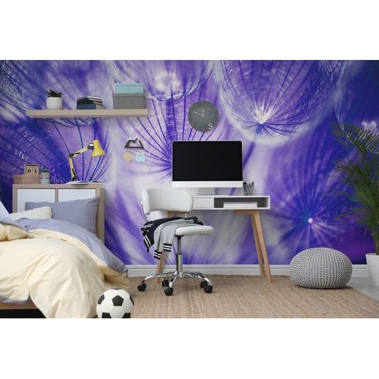 Zajímavá samolepící fototapeta fialová pampeliška