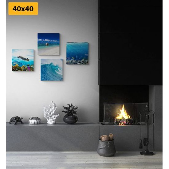 Set obrazů život pod mořskou hladinou