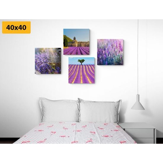 Set obrazů levandulová nádhera