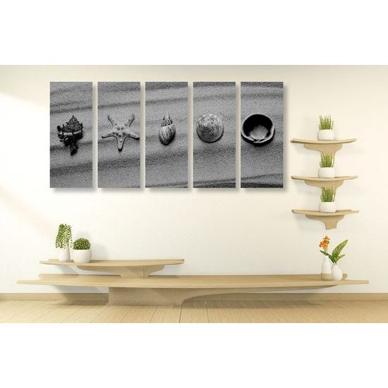 5-dílný obraz černobílé mušle na písku