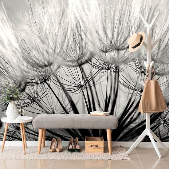 Samolepící fototapeta nádherná černobílá semínka pampelišky