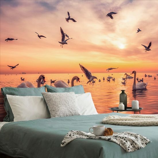 Samolepící fototapeta půvabné labutě při západu slunce