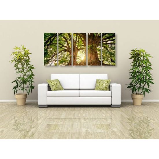 5-dílný obraz staré stromy