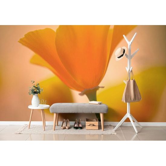 Fototapeta půvabná žlutá květina