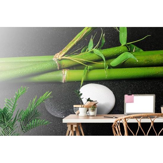 Fototapeta symbolické kameny Jin a Jang