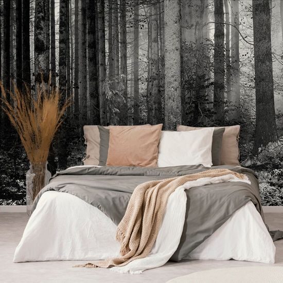 Originální fototapeta černobílé zákoutí lesa