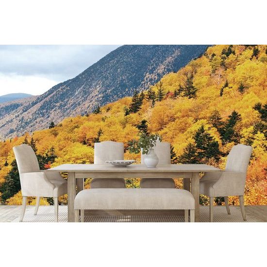 Nádherná samolepící fototapeta příroda v podzimních barvách