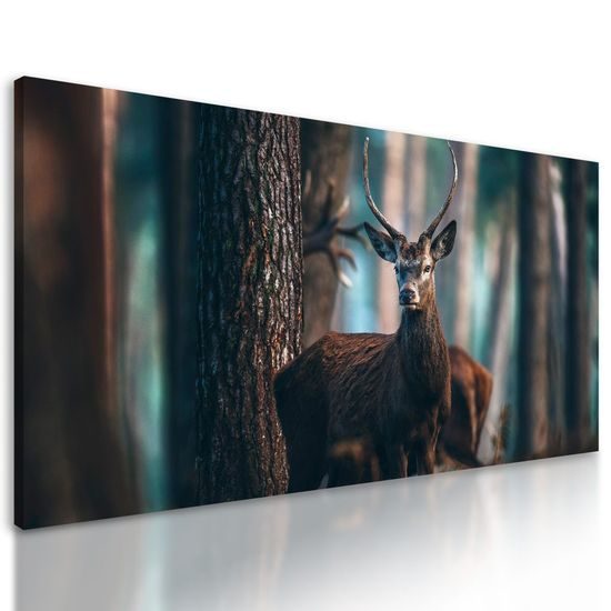 Obraz setkání s jelenem