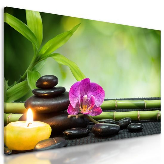 Obraz relaxační zahrada Feng Shui