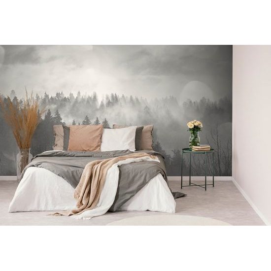 Samolepící fototapeta ranní paprsky slunce nad lesem v černobílém provedení