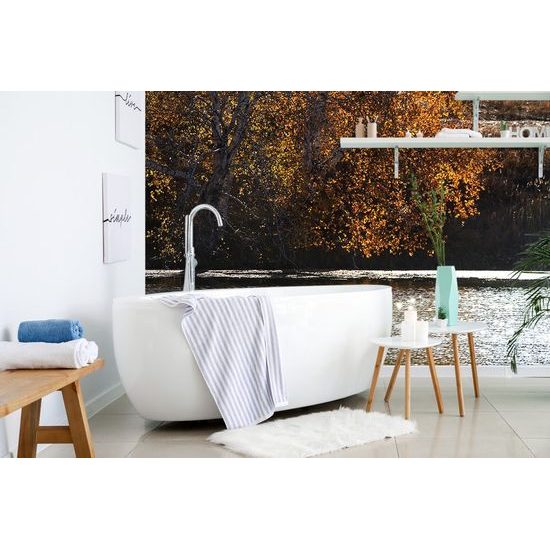 Samolepící fototapeta podzimní strom u jezera