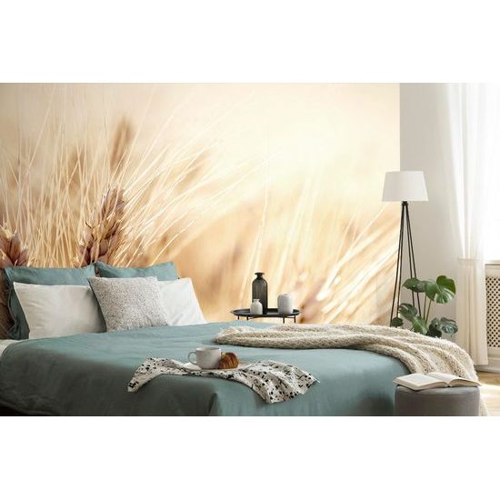 Okouzlující samolepící fototapeta detail pšenice