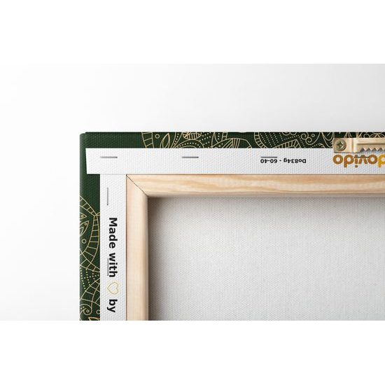 Obraz zelená detailní Mandala