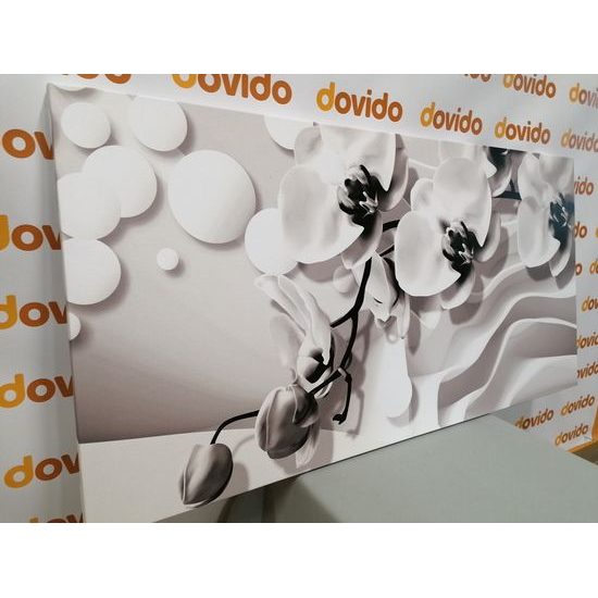 Obraz jemné znázornění orchideje v černobílém provedení