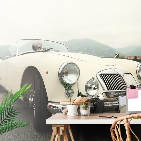 Samolepící fototapeta vzácný bílý veterán