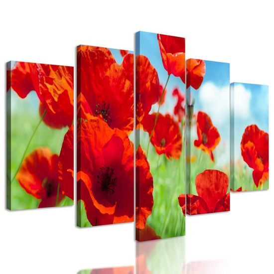 5-dílný obraz luční máky