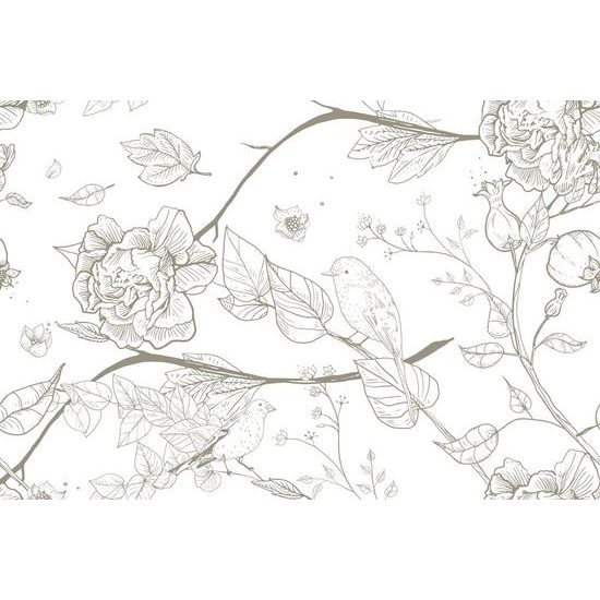 Samolepící tapeta krásné ptáčci na bílém pozadí