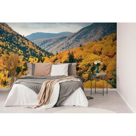 Okouzlující fototapeta podzimní příroda