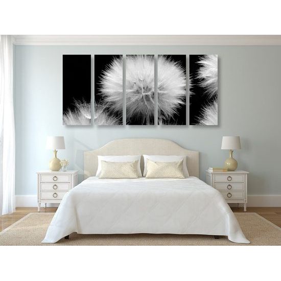 5-dílný obraz pampeliška v rozkvětu v černobílém provedení