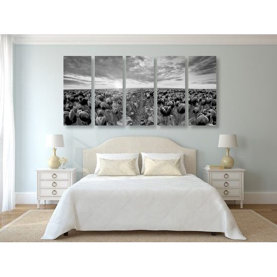5-dílný obraz západ slunce nad rozkvinutými tulipány v černobílém provedení