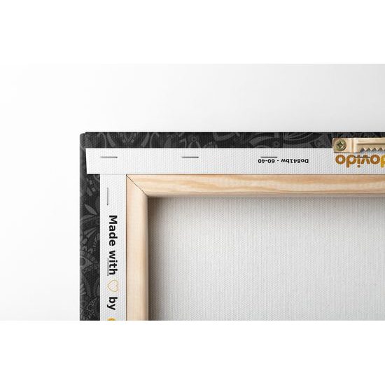 Obraz moderní Mandala v černobílém provedení