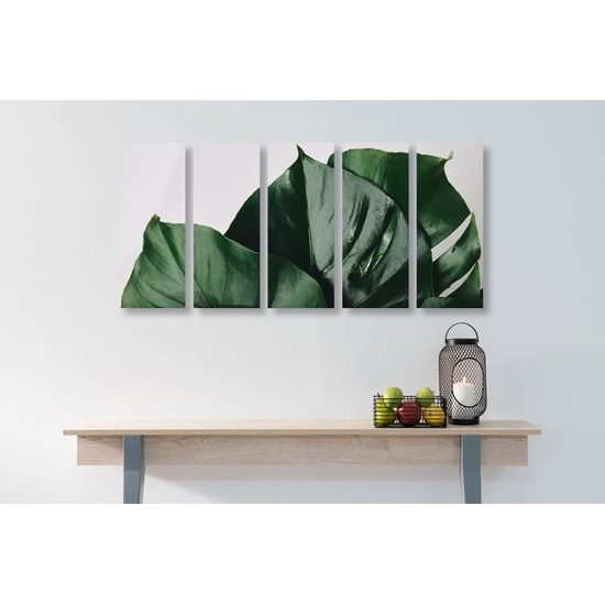 5-dílný obraz lesklé listy monstery