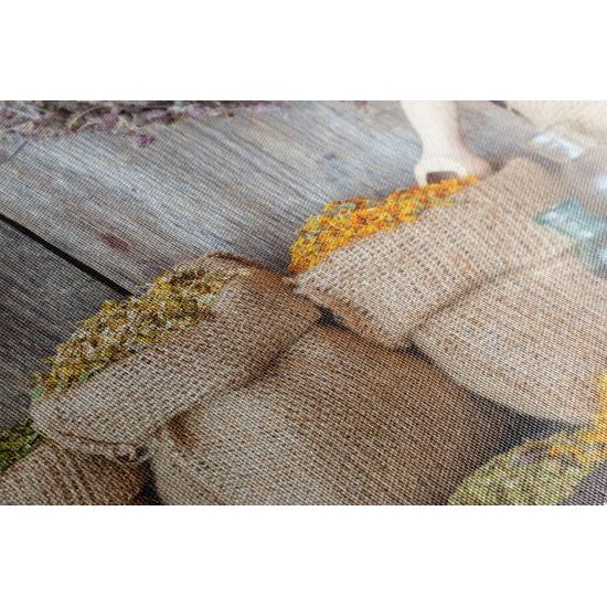 Obraz polní bylinky