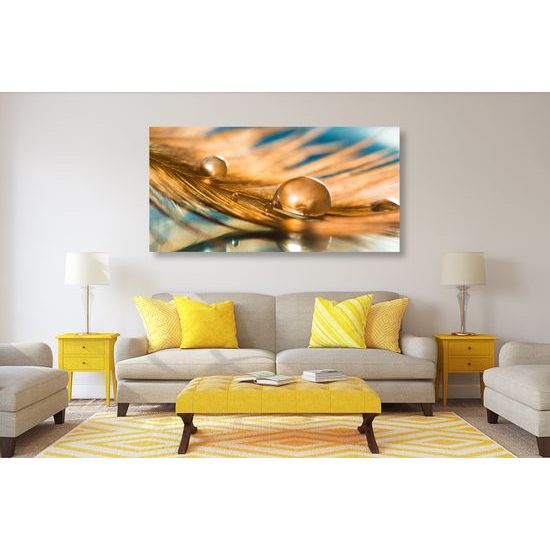 Obraz ranní rosa na zlatém pírku