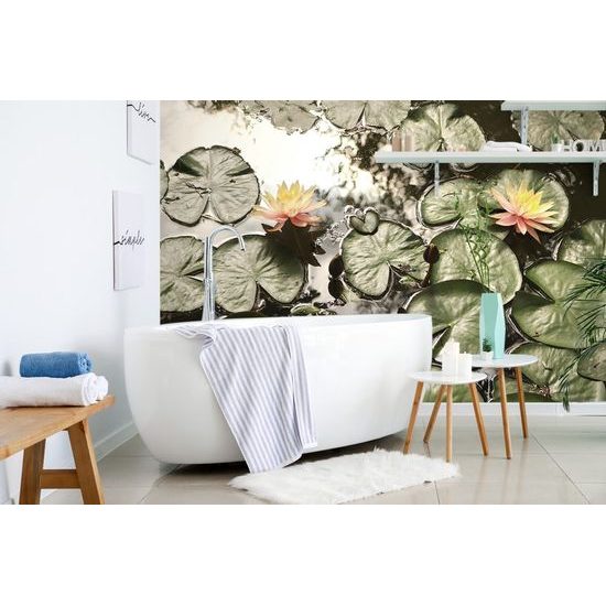 Fototapeta rybník s lotosovými květinami