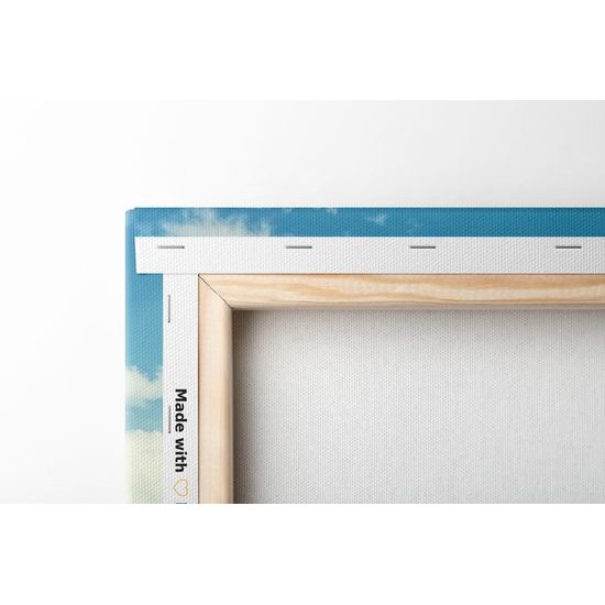 Obraz slunečný den na louce