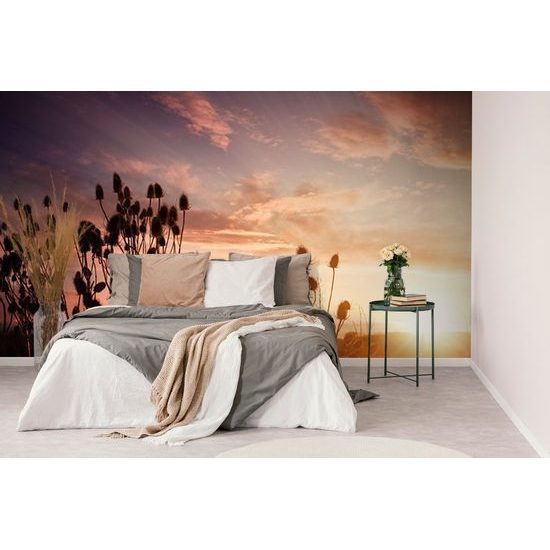 Samolepící fototapeta louky při zapadajícím slunci