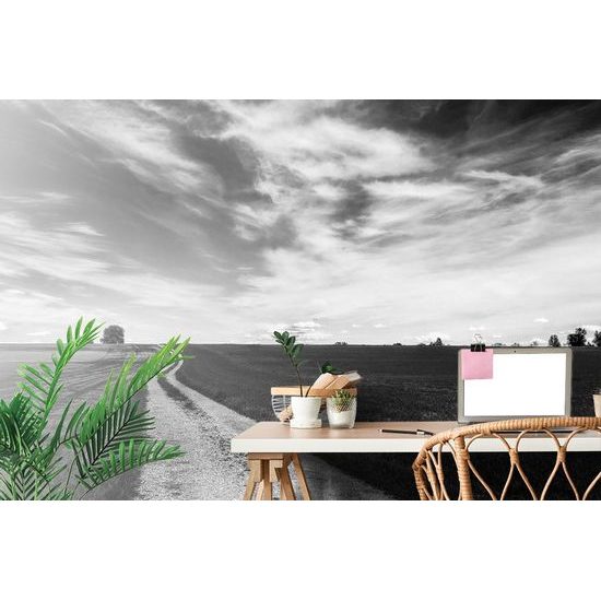 Fototapeta těsta jarní krajinou v černobílém provedení