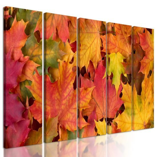5-dílný obraz podzimní javorové listy