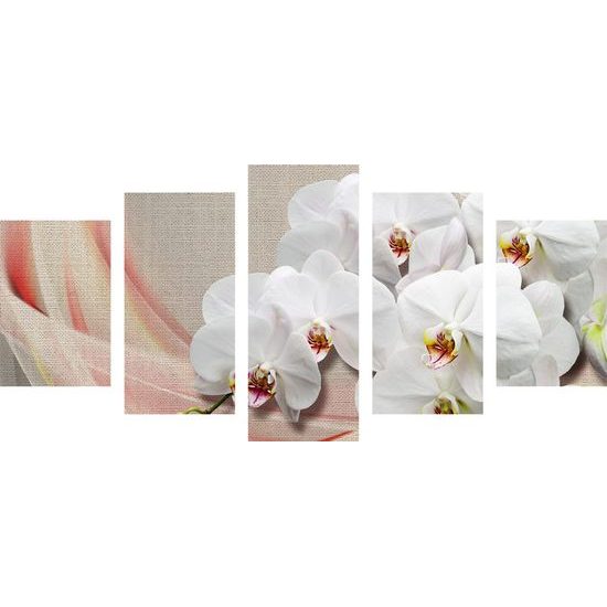 5-dílný obraz nádherná orchidej