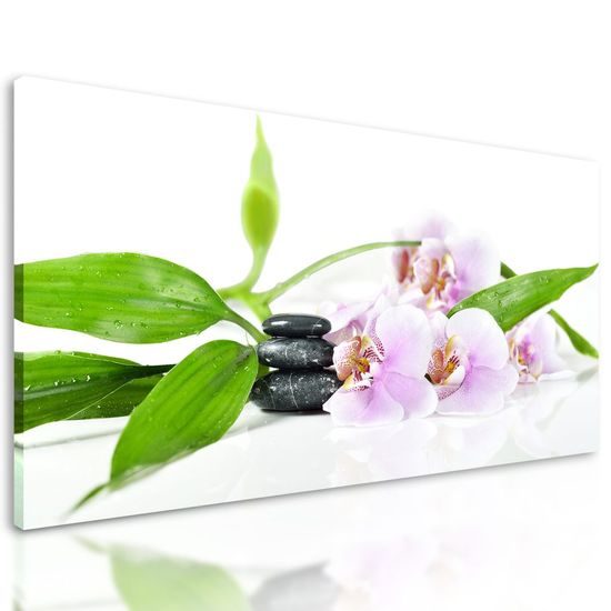 Obraz uklidňující Zen zátiší s květinami orchideje