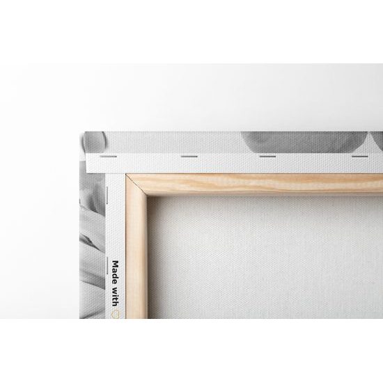 Obraz půvabné pivoňky v černobílém provedení