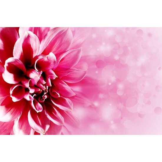 Okouzlující tapeta květ v odstínech růžové