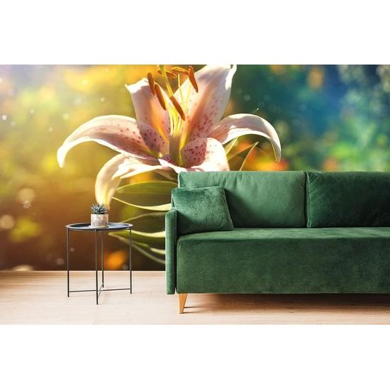 Tapeta magický květ