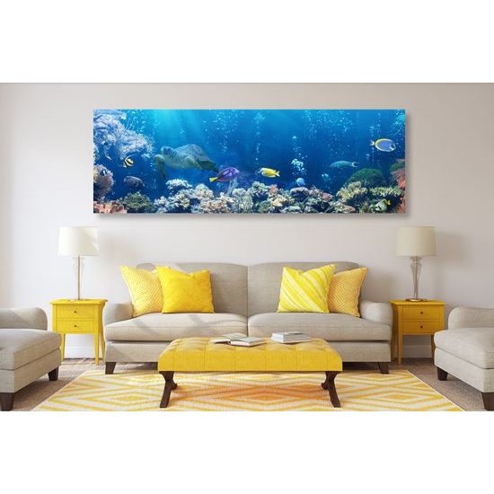 Obraz krásné mořské ryby