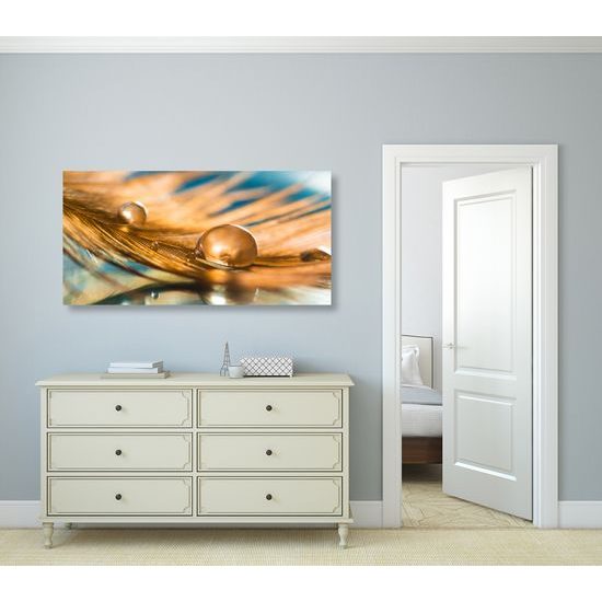 Obraz ranní rosa na zlatém pírku