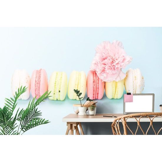 Samolepící fototapeta barevné makronky