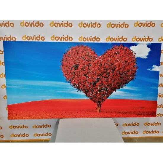 Obraz strom jako symbol lásky